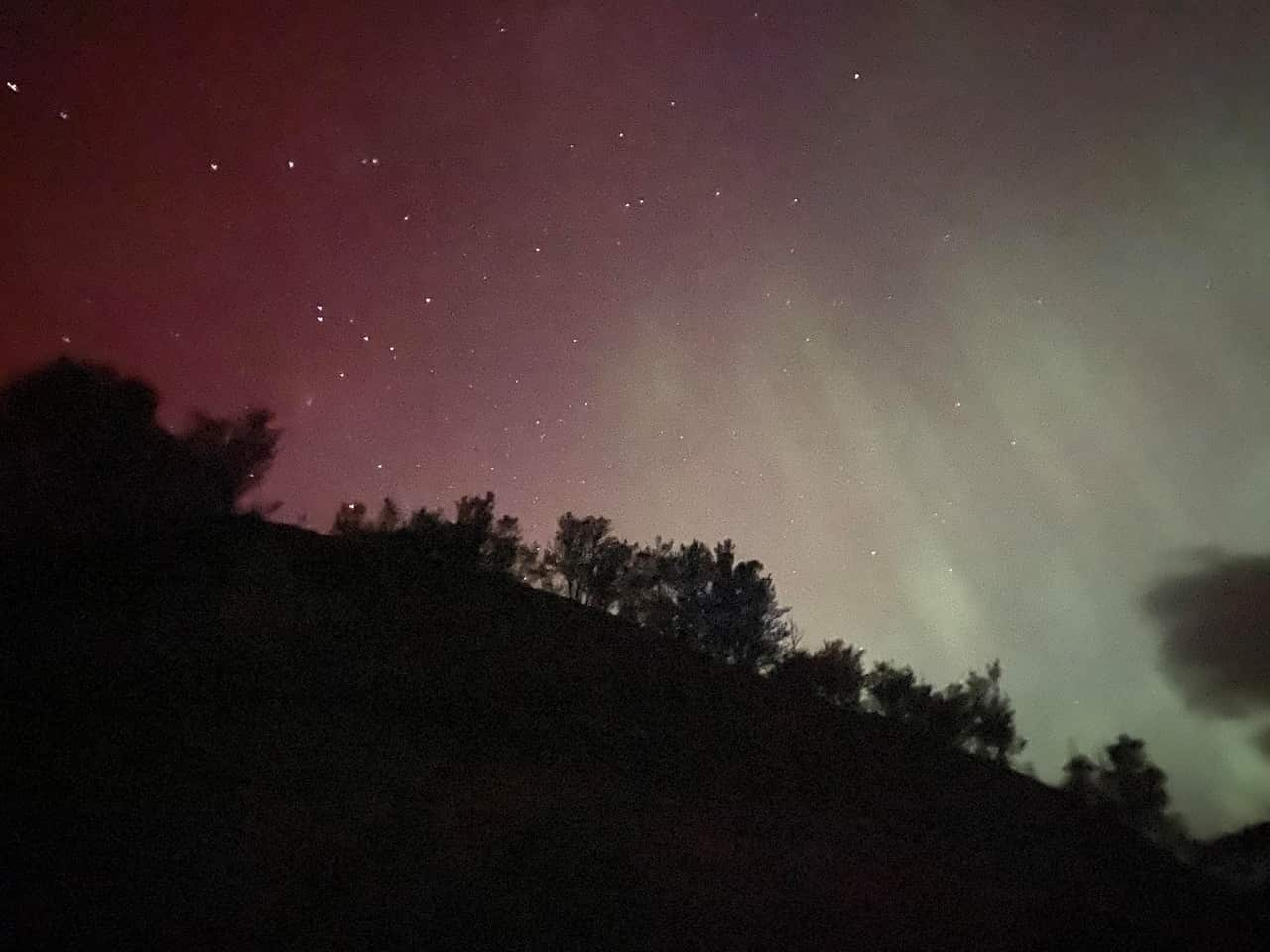 A purple sky with stars with silhouettes of trees in the middle distance