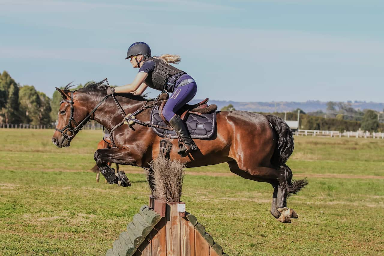 A woman in riding gear on a horse going over a jump.