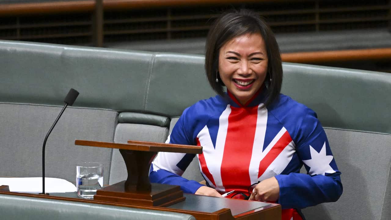 Dai Le in parliament wearing a Vietnamese dress printed with the Australian flag.
